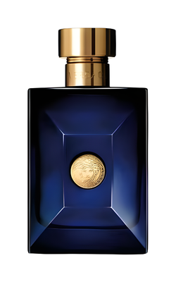 Versace Dylan Blue